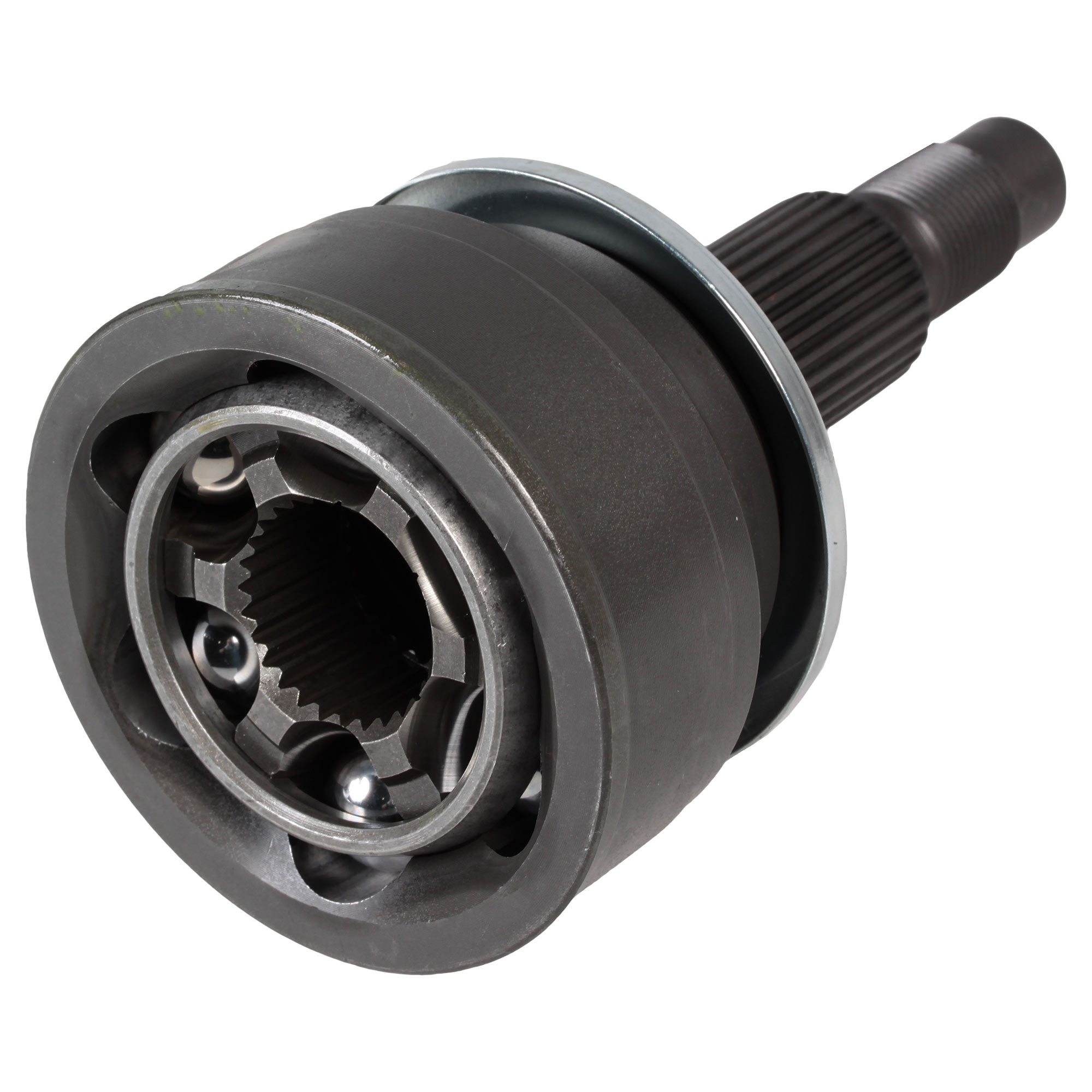 ravus 　no4 92585360.jpg