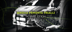Школа ремонта TRIALLI: меняем передний амортизатор на Renault Logan