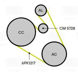 Ролик приводного ремня для автомобилей Ford Kuga (08-) 2.0d (до 11.2012) с натяжным механизмом - CM 5728 - 2