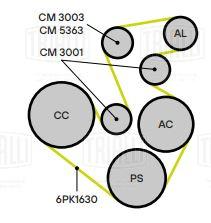 Ролик приводного ремня для автомобилей Chery Tiggo T11 (05-) 1.6i/1.8i/2.0i (с натяжным механизмом) (CM 3003) - CM 3003 - 2